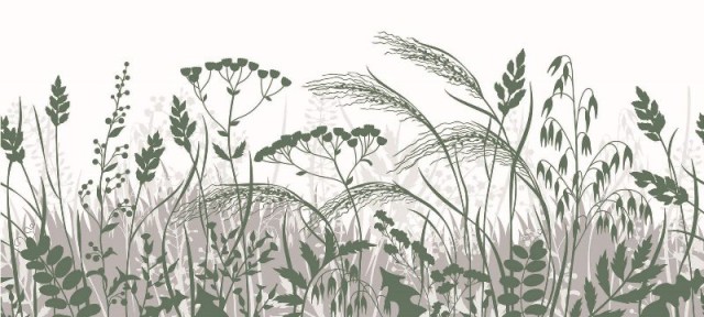 Декор Sandra Grass 36x80